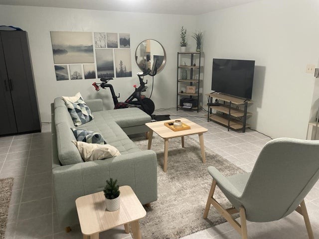 Modern stylish living room (Peloton not