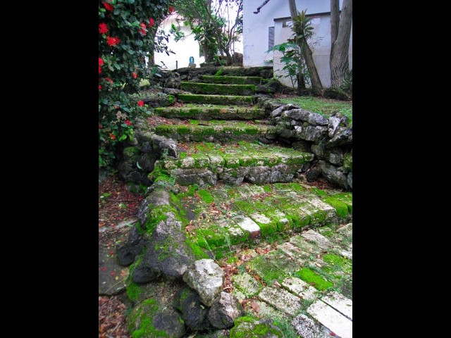 Stairway in the Garden